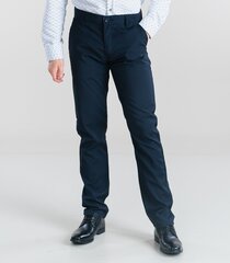 Мужские брюки L32 376768 01, тёмно-синий 376768*01-038 цена и информация | Мужские брюки | 220.lv