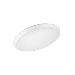 SLIM apļveida mikroviļņu sensora LED lampa 16W 3000K/4000K/6000K 1450Lm 4-16m IP65 IK10 THORGEON cena un informācija | Griestu lampas | 220.lv