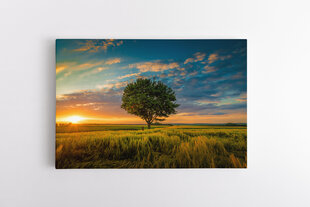 Glezna Romantisks saulriets laukos ar koku cena un informācija | Gleznas | 220.lv