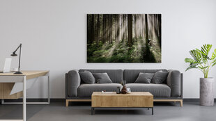 Glezna Iespaidīgs saullēkts mežā cena un informācija | Gleznas | 220.lv