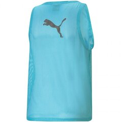 Puma t-krekls vīriešiem Bib M 65725141, zils цена и информация | Мужские футболки | 220.lv