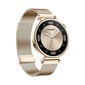 Huawei Watch GT 4 Light Gold Milanese цена и информация | Viedpulksteņi (smartwatch) | 220.lv