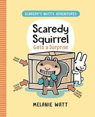 Scaredy Squirrel Gets A Surprise цена и информация | Книги для подростков и молодежи | 220.lv