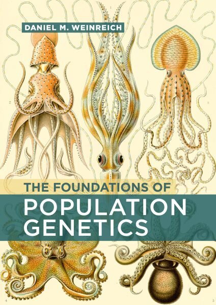 Foundations of Population Genetics цена и информация | Ekonomikas grāmatas | 220.lv