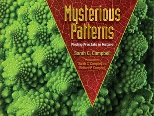 Mysterious Patterns: Finding Fractals in Nature цена и информация | Книги для подростков  | 220.lv
