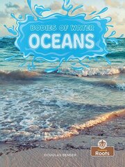 Oceans цена и информация | Книги для подростков и молодежи | 220.lv