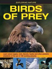 Exploring Nature: Birds of Prey cena un informācija | Grāmatas pusaudžiem un jauniešiem | 220.lv