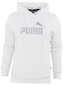 Jaka sievietēm PUMA ESS+ Metallic Logo Hoodie FL 849958 02 цена и информация | Jakas sievietēm | 220.lv