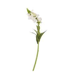 Mâkslîgs zieds In GARDEN, H49cm, balts cena un informācija | Mākslīgie ziedi | 220.lv