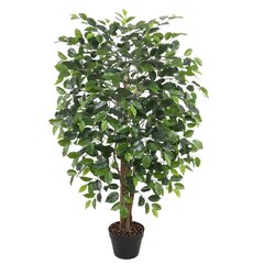 Mâkslîgs koks FICUS H120cm, melns cena un informācija | Mākslīgie ziedi | 220.lv