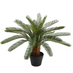 Mâkslîgs augs CYCAS H70cm, melns puíupods cena un informācija | Mākslīgie ziedi | 220.lv