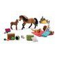 2023. gada Adventes kalendārs, Schleich, zirgu figūriņas цена и информация | Rotaļlietas meitenēm | 220.lv