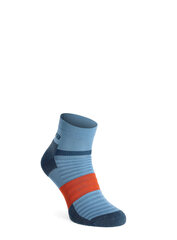 Women's Jogging Socks Inov-8 Trailfly Sock Low - teal/purple 84478-155 цена и информация | Женские носки | 220.lv