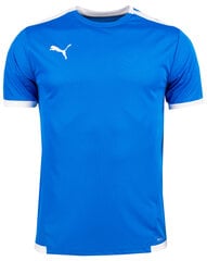 T-krekls vīriešiem PUMA teamLIGA Jersey 704917 02 цена и информация | Мужские футболки | 220.lv