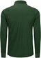Unisex LLdress polo krekls ar garām piedurknēm, zaļš цена и информация | Vīriešu krekli | 220.lv