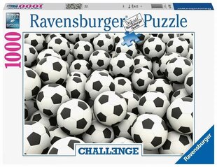 Puzle Ravensburger, 1000 gab. cena un informācija | Puzles, 3D puzles | 220.lv