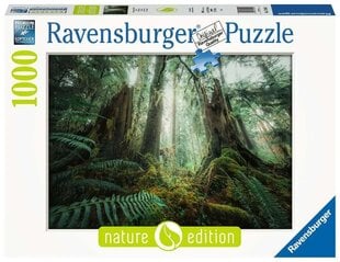 Puzle - Meži Ravensburgers, 1000 gab. cena un informācija | Puzles, 3D puzles | 220.lv