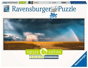Puzle Ravensburger, 1000 gab. cena un informācija | Puzles, 3D puzles | 220.lv