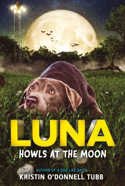 Luna Howls at the Moon cena un informācija | Grāmatas pusaudžiem un jauniešiem | 220.lv