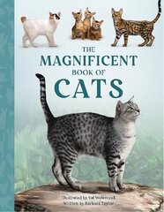 Magnificent Book of Cats cena un informācija | Grāmatas pusaudžiem un jauniešiem | 220.lv