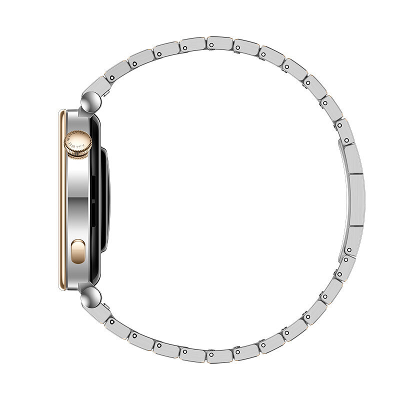 Huawei Watch GT 4 Silver Stainless Steel цена и информация | Viedpulksteņi (smartwatch) | 220.lv