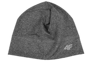 Cepure 4F H4Z22 CAF002 25S цена и информация | Мужские шарфы, шапки, перчатки | 220.lv
