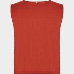 Sporta krekls bērniem AJAX KIDS sarkans cena un informācija | Zēnu krekli | 220.lv
