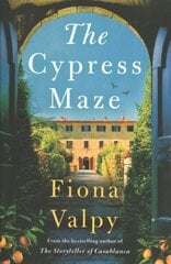 Cypress Maze cena un informācija | Fantāzija, fantastikas grāmatas | 220.lv