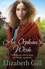 Orphan's Wish цена и информация | Фантастика, фэнтези | 220.lv