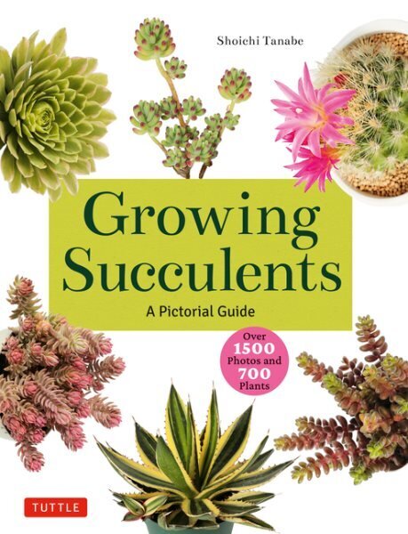 Growing Succulents: A Pictorial Guide to Planting and Design (Over 1,500 photos and 700 plants) цена и информация | Grāmatas par dārzkopību | 220.lv