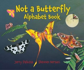 Not a Butterfly Alphabet Book cena un informācija | Grāmatas pusaudžiem un jauniešiem | 220.lv