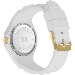 Ice Watch 019140 019140 цена и информация | Женские часы | 220.lv