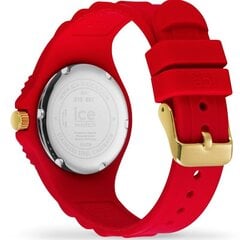 Ice Watch 019891 019891 цена и информация | Женские часы | 220.lv