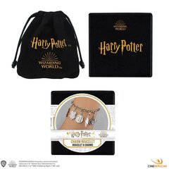 Rokassprādze Harry Potter Simboli 33417 cena un informācija | Rokassprādzes | 220.lv