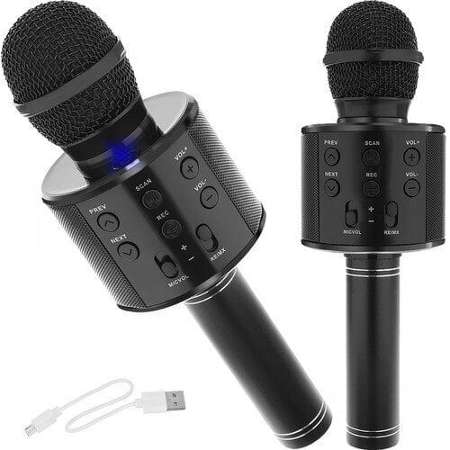 Bērnu karaoke mikrofons ar skaļruni, melns цена и информация | Attīstošās rotaļlietas | 220.lv