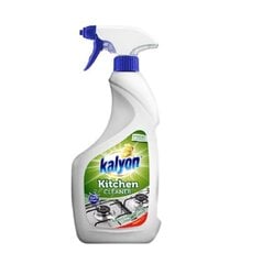 Средство для чистки кухни Kalyon 750мл цена и информация | Чистящие средства | 220.lv