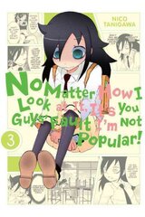 No Matter How I Look at It, It's You Guys' Fault I'm Not Popular!, Vol. 3, v. 3 цена и информация | Фантастика, фэнтези | 220.lv