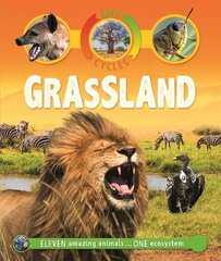 Life Cycles: Grassland цена и информация | Книги для подростков и молодежи | 220.lv