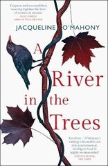 River in the Trees cena un informācija | Fantāzija, fantastikas grāmatas | 220.lv