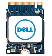 Dell AB292881 цена и информация | Внутренние жёсткие диски (HDD, SSD, Hybrid) | 220.lv