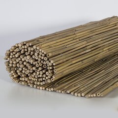 Bambusa niedru þogs IN GARDEN, 1x5m, dabîgais bambuss D5 / 10mm cena un informācija | Žogi un piederumi | 220.lv