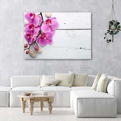 Glezna uz audekla, Rozā orhideja un pumpuri цена и информация | Картины | 220.lv