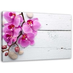 Glezna uz audekla, Rozā orhideja un pumpuri цена и информация | Картины | 220.lv