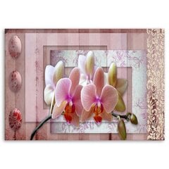 Glezna uz audekla, Rozā vintage orhideja cena un informācija | Gleznas | 220.lv