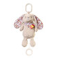 Bērnu rotaļlieta ar mūzikas kastīti BabyOno Rabbit Milly 1526 cena un informācija | Rotaļlietas zīdaiņiem | 220.lv