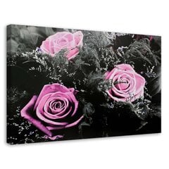 Glezna uz audekla, Rozā rozes slepenajā dārzā cena un informācija | Gleznas | 220.lv