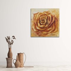 Glezna uz audekla, Apelsīnu rožu galva cena un informācija | Gleznas | 220.lv