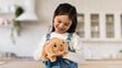 Interaktīvs komplekts Little Live Pets Kucēnu māja cena un informācija | Rotaļlietas meitenēm | 220.lv