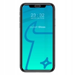 Rūdītais stikls, Bizon Glass, iPhone 11 цена и информация | Защитные пленки для телефонов | 220.lv