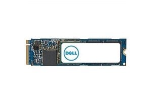 Dell AC037410 цена и информация | Внутренние жёсткие диски (HDD, SSD, Hybrid) | 220.lv